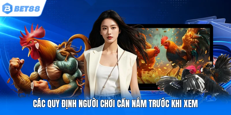 Các quy định người chơi cần nắm trước khi xem Các quy định người chơi cần nắm trước khi xem