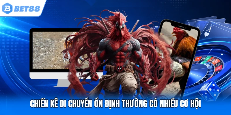 Chiến kê di chuyển ổn định thường có nhiều cơ hội Chiến kê di chuyển ổn định thường có nhiều cơ hội