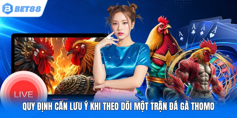 Q uy định cần lưu ý khi theo dõi một trận đá gà Thomo Q uy định cần lưu ý khi theo dõi một trận đá gà Thomo