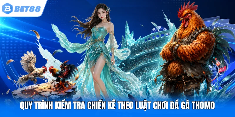Quy trình kiểm tra chiến kê theo luật chơi đá gà Thomo Quy trình kiểm tra chiến kê theo luật chơi đá gà Thomo
