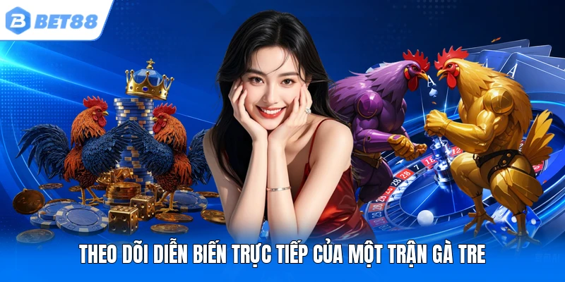 Theo dõi diễn biến trực tiếp của một trận gà tre Theo dõi diễn biến trực tiếp của một trận gà tre