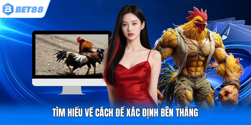 Tìm hiểu về cách để xác định bên thắng Tìm hiểu về cách để xác định bên thắng