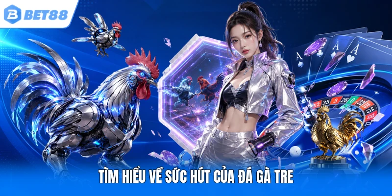 Tìm hiểu về sức hút của đá gà tre Tìm hiểu về sức hút của đá gà tre